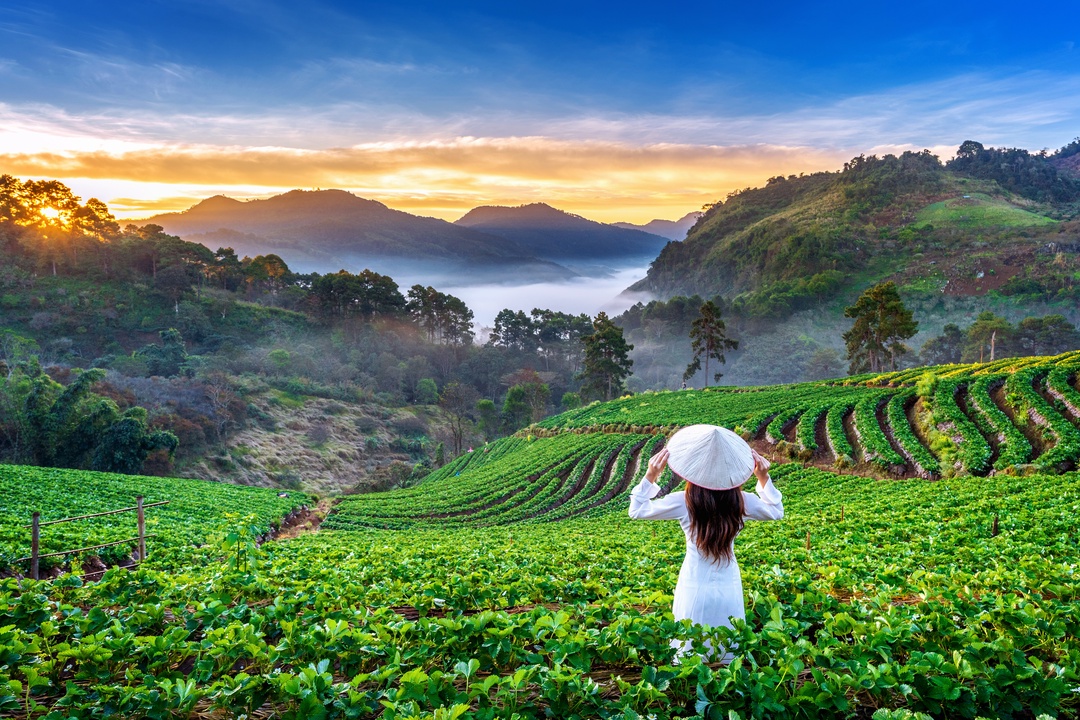 Hà Giang: Bí kíp du lịch từ A đến Z